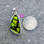 Butterfly Pendants - MED