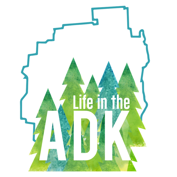 Life in the ADK