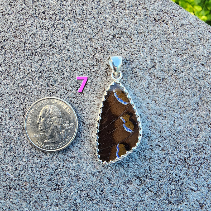 Butterfly Pendants - MED