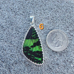 Butterfly Pendants - LG