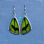 Butterfly Earrings - SM