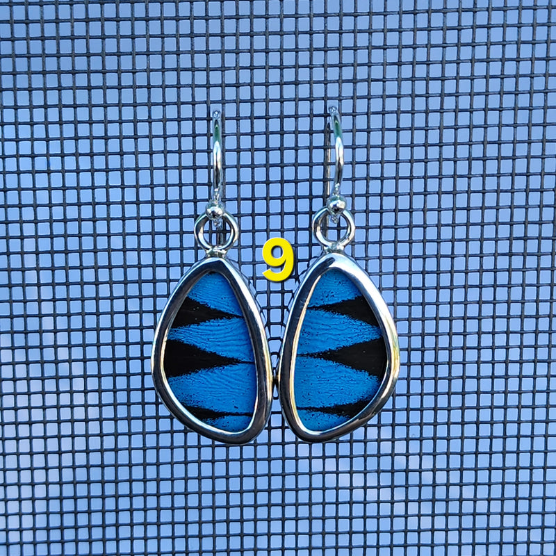 Butterfly Earrings - XS