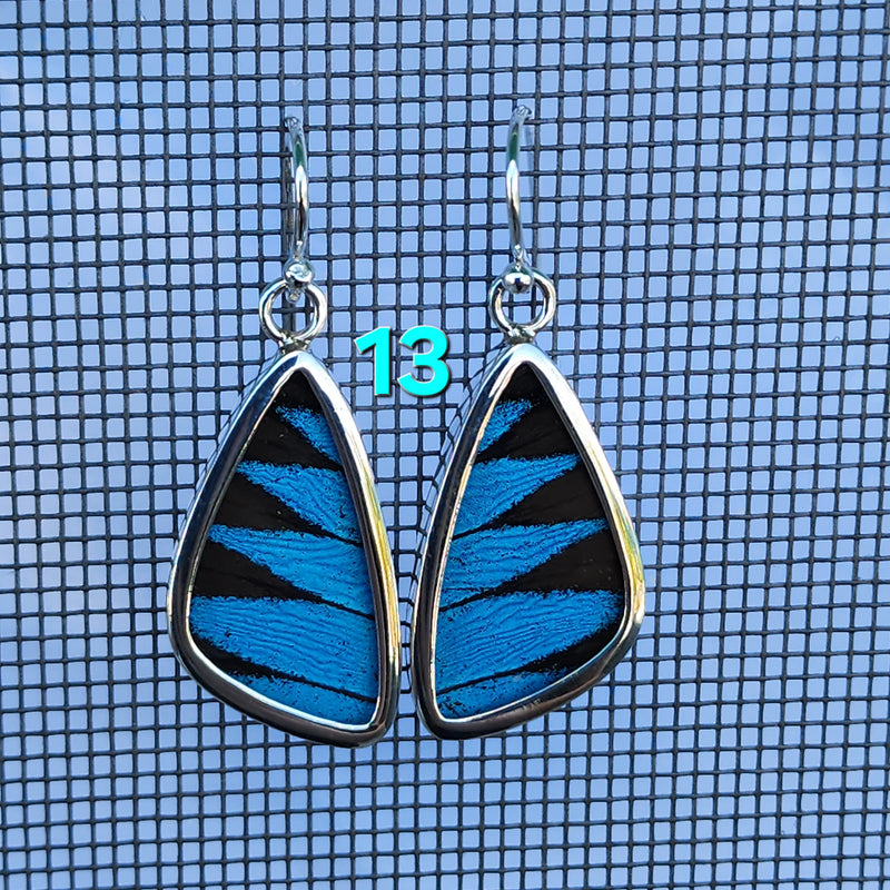 Butterfly Earrings - SM