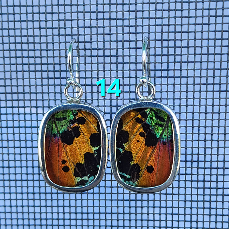 Butterfly Earrings - SM