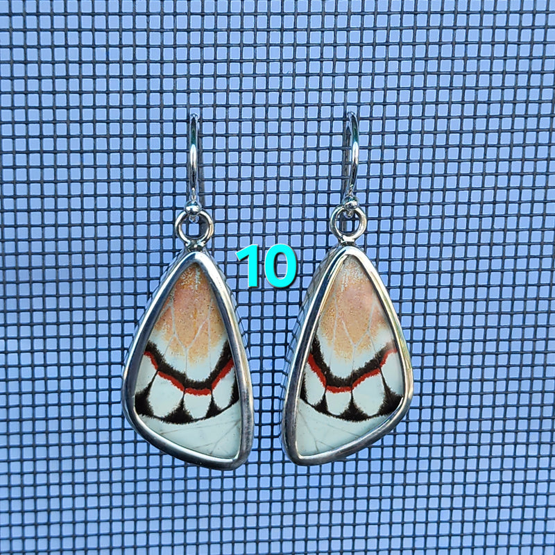 Butterfly Earrings - SM