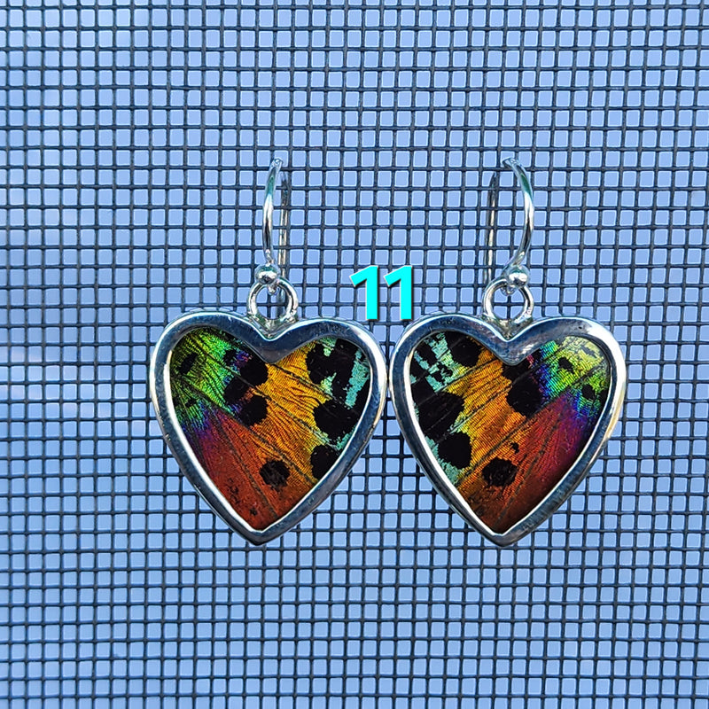 Butterfly Earrings - SM