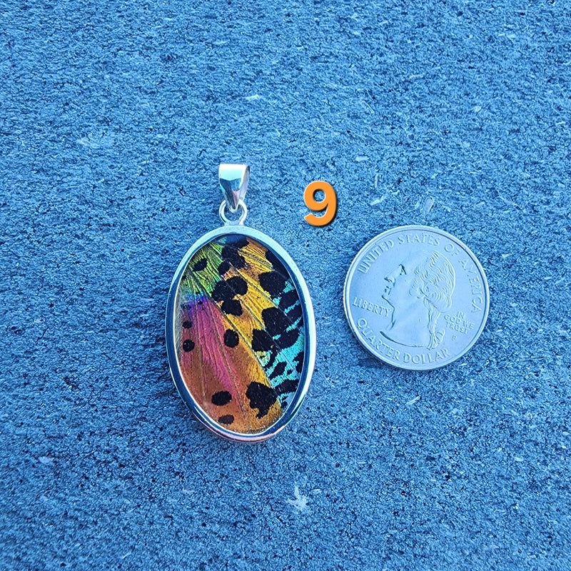 Butterfly Pendants - LG