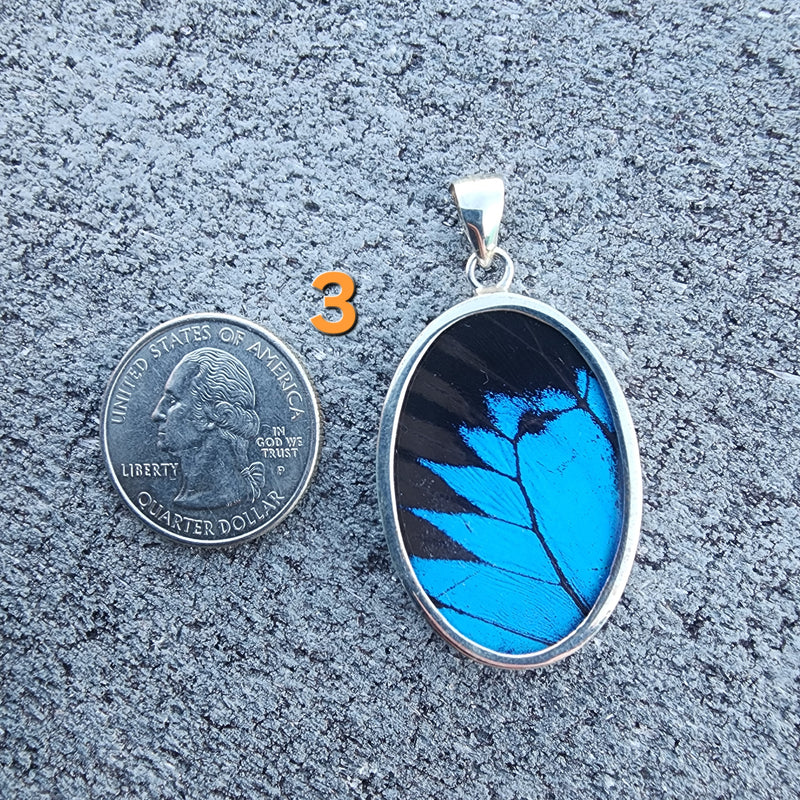 Butterfly Pendants - LG