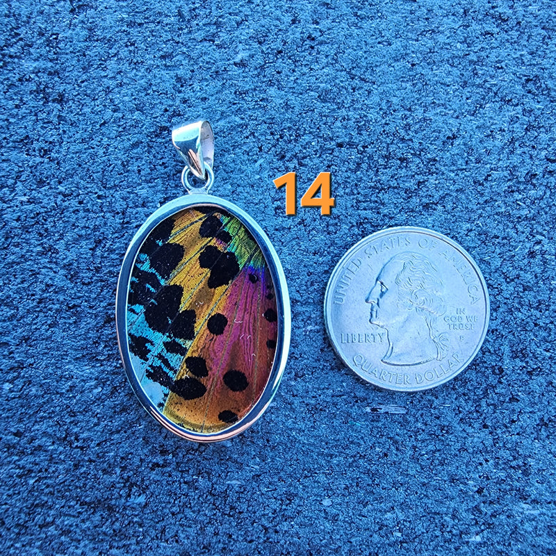 Butterfly Pendants - LG