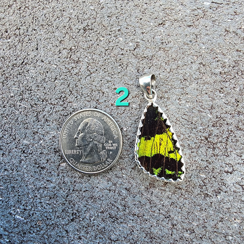 Butterfly Pendants - SM