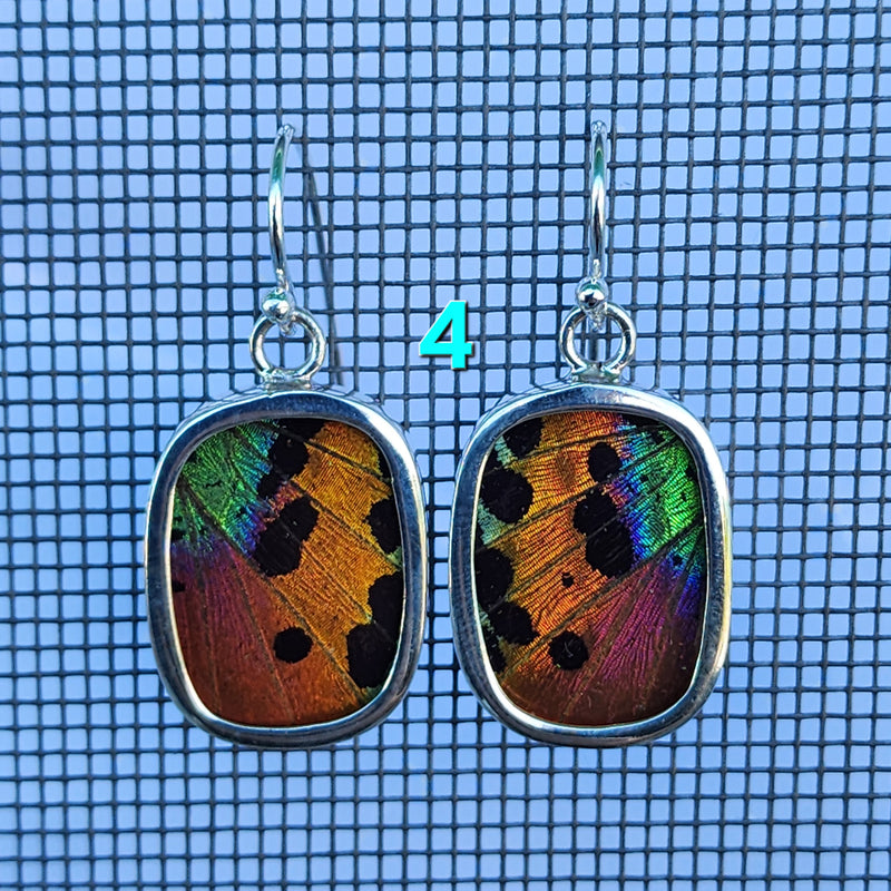 Butterfly Earrings - SM