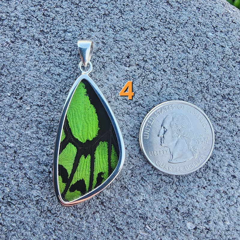 Butterfly Pendants - LG