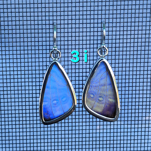 Butterfly Earrings - SM