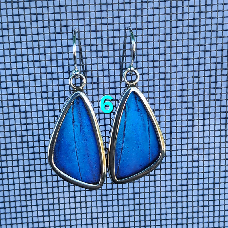 Butterfly Earrings - SM