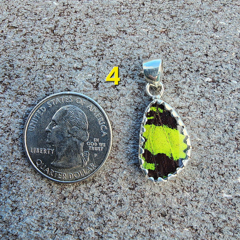 Butterfly Pendants - XS