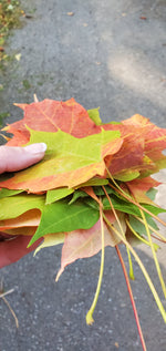 Custom Adirondack Leaf Resin Tray