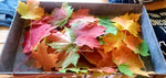 Custom Adirondack Leaf Resin Tray