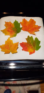 Custom Adirondack Leaf Resin Tray